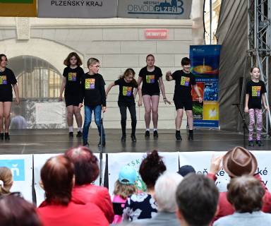 Pilsen Tap festival 2024