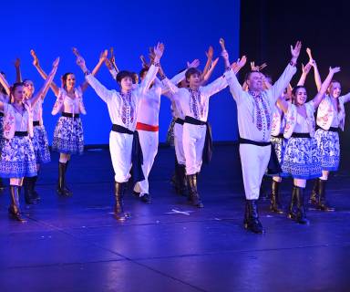 Pilsen tap festival 2025